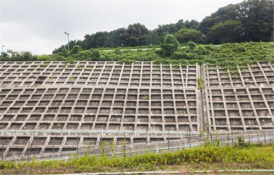 護坡路沿石塑料模具